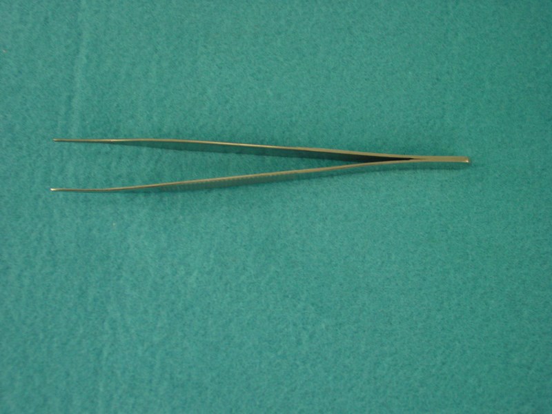 Dressing Forcep Non Toothed 13cm