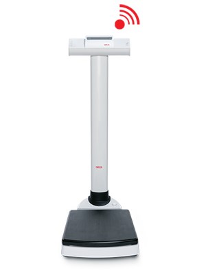 Seca Column Heavy Duty Scales